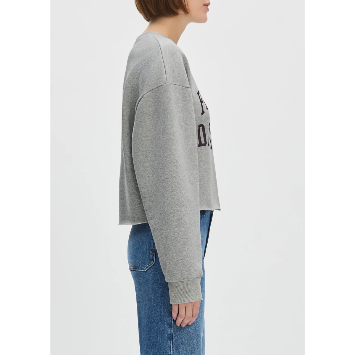 Cropped Collegiate Sweatshirt - Heather Grey Burgundy