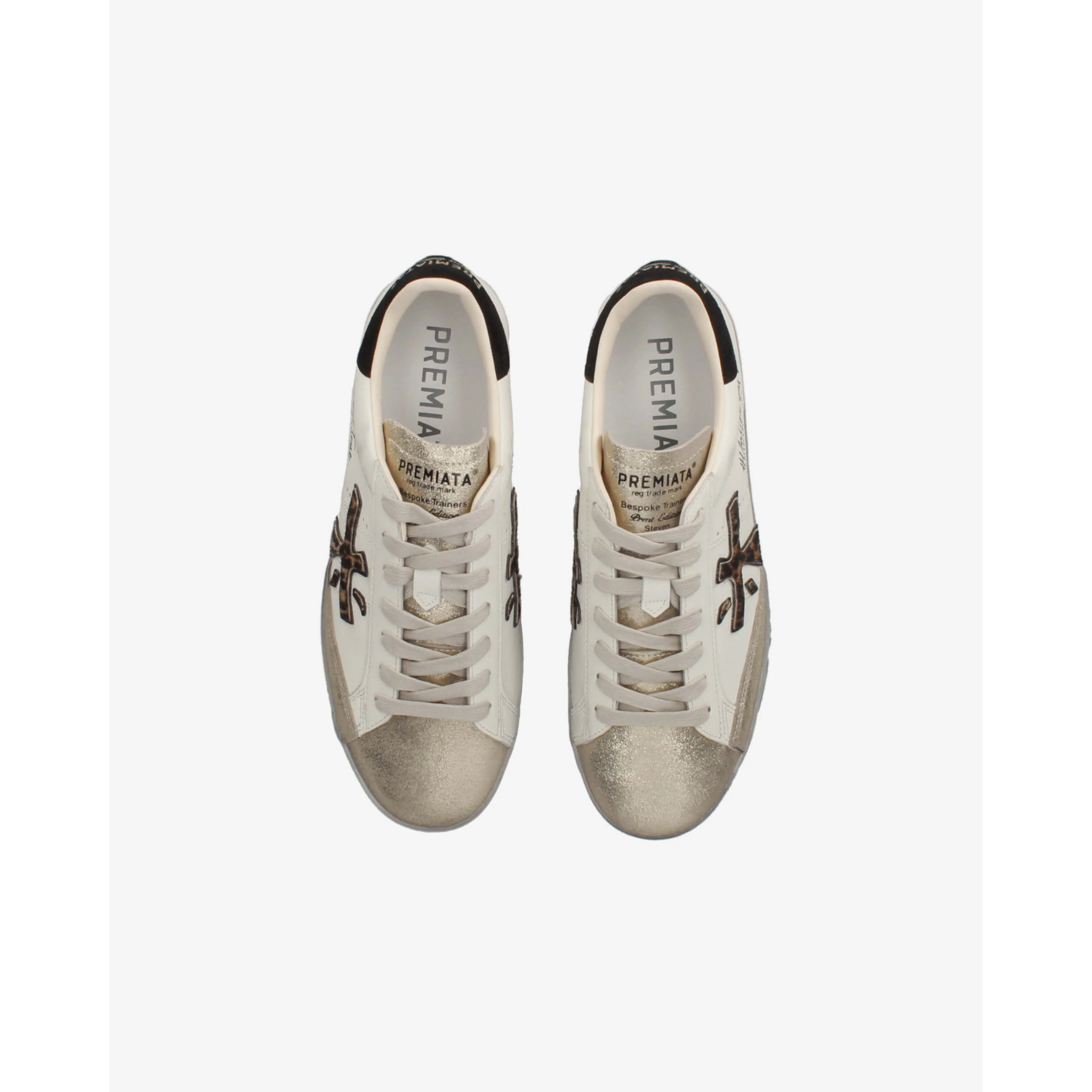 Stevend 7605 - MINE by sandy