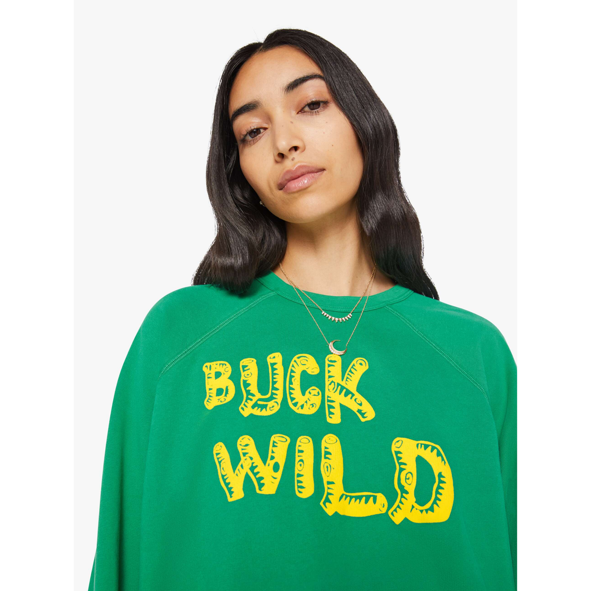 The Biggie Concert - Buck Wild