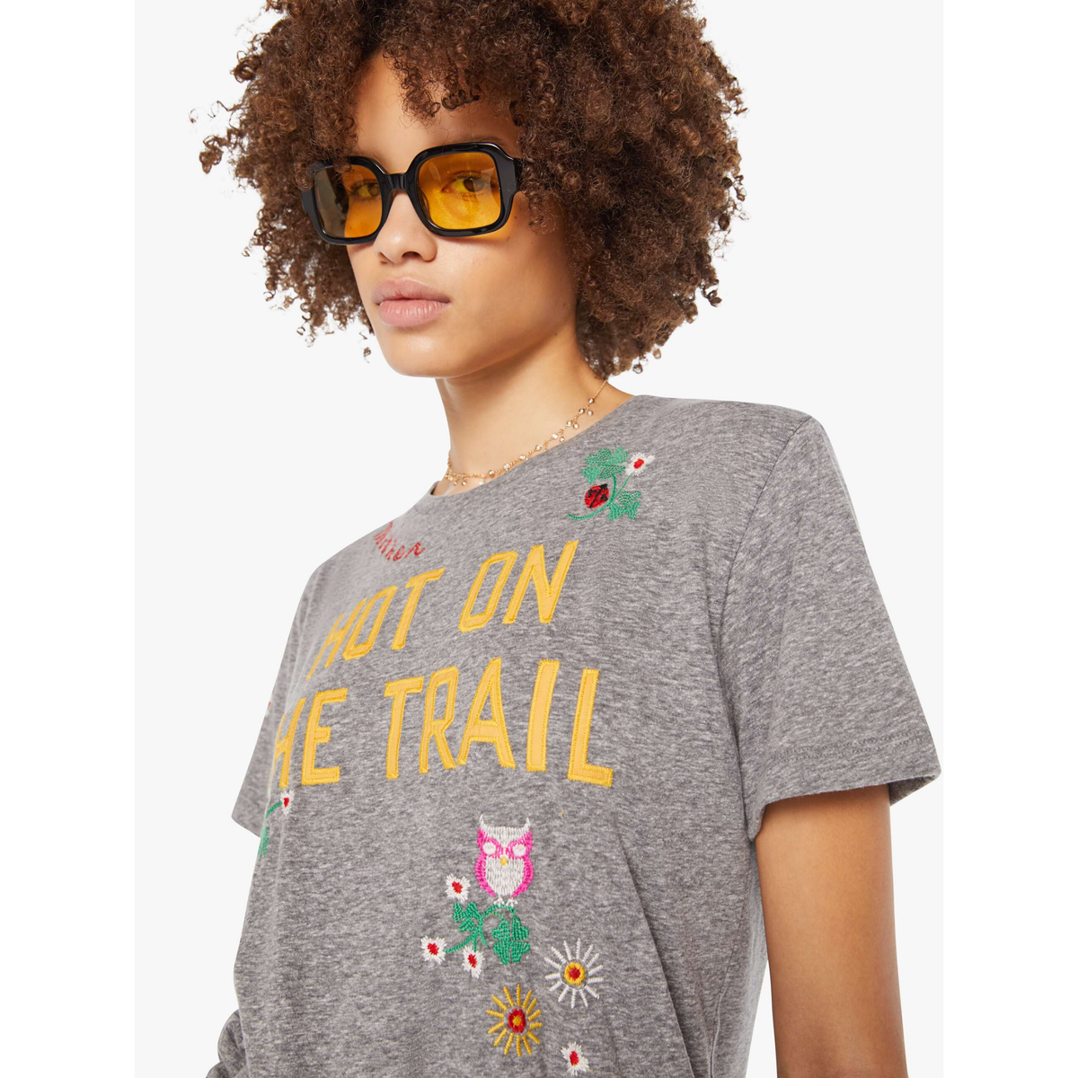 The Rowdy - Hot On The Trail