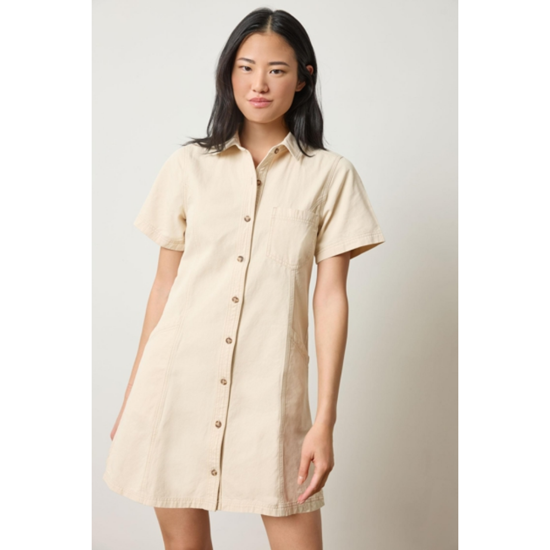 Twill Paneled Shirt Dress