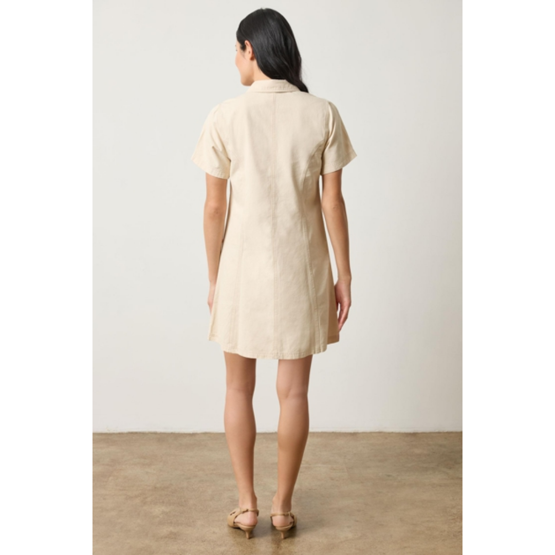 Twill Paneled Shirt Dress